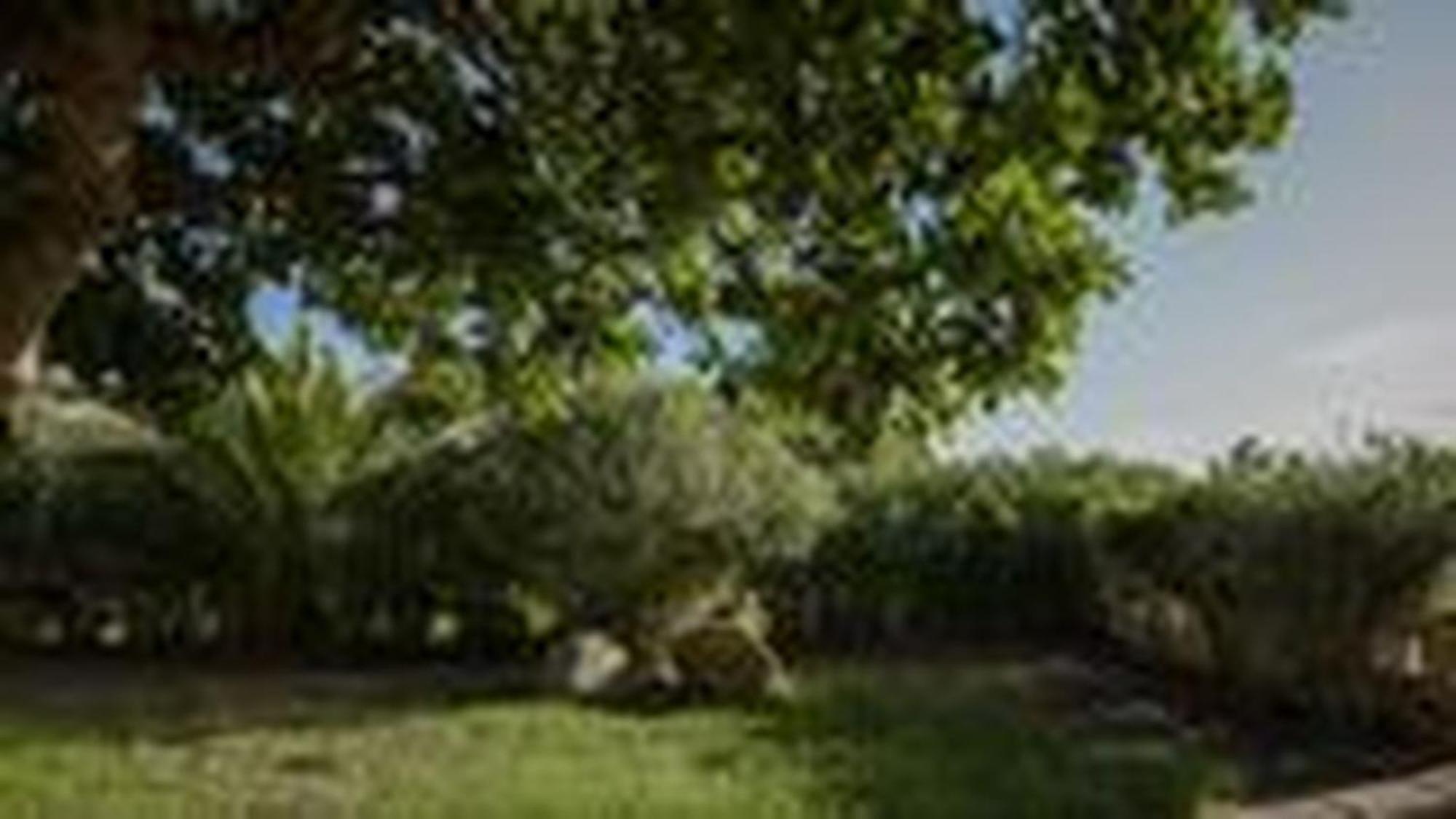 Welcomely - Villa Adele Costa Rei Kültér fotó