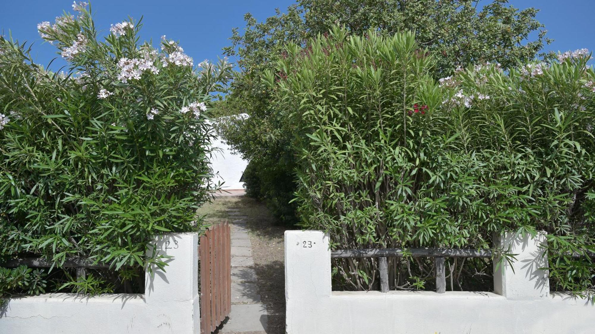 Welcomely - Villa Adele Costa Rei Kültér fotó